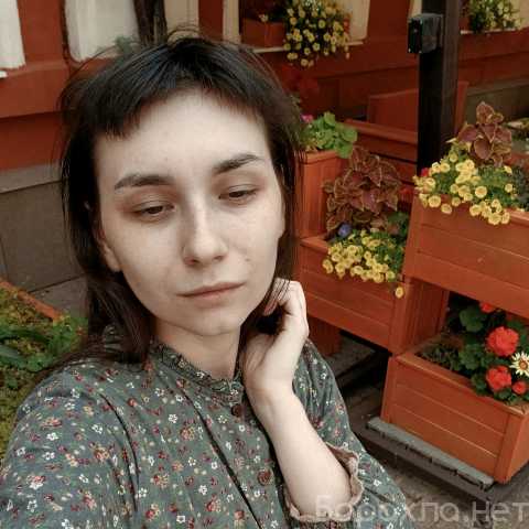 Предложение: Репетитор живописи