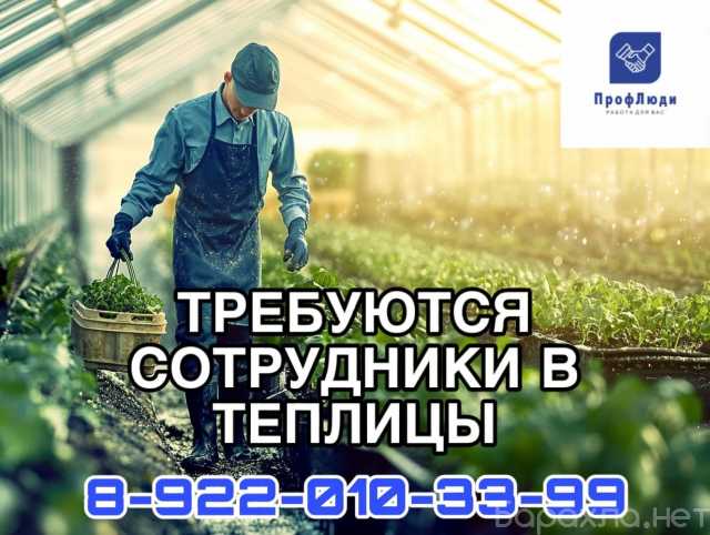 Ищу работу: Разнорабочий в теплицы без опыта