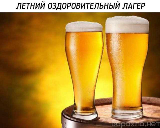 Предложение: Не с кем выпить?