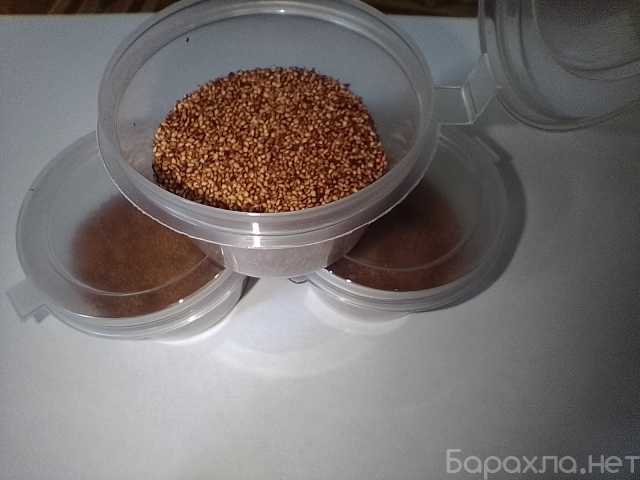 Продам: Семена лесной земляники