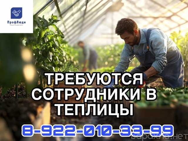Ищу работу: Разнорабочий в теплицы (через обучение)