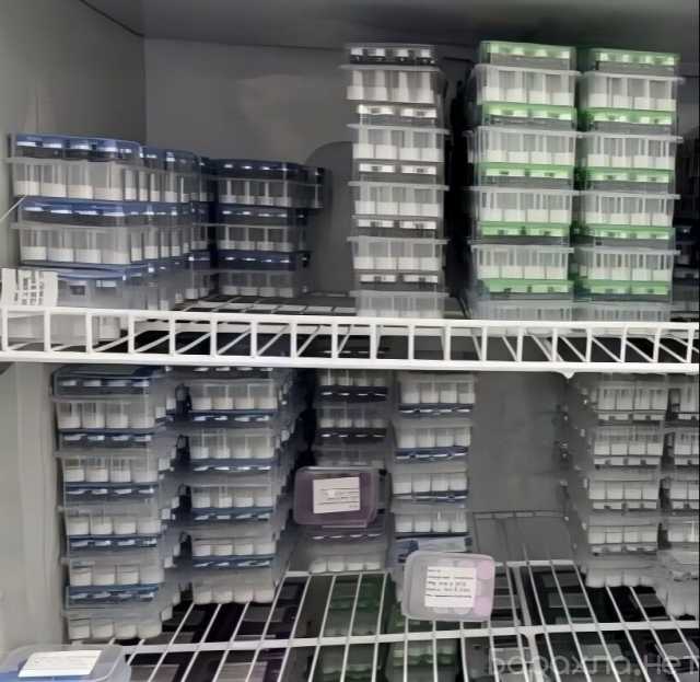Продам: Buy Orange Adderall, Liquid Ecstasy