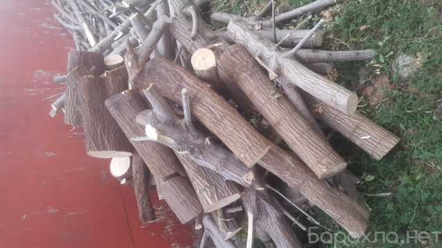 Отдам даром: Дрова