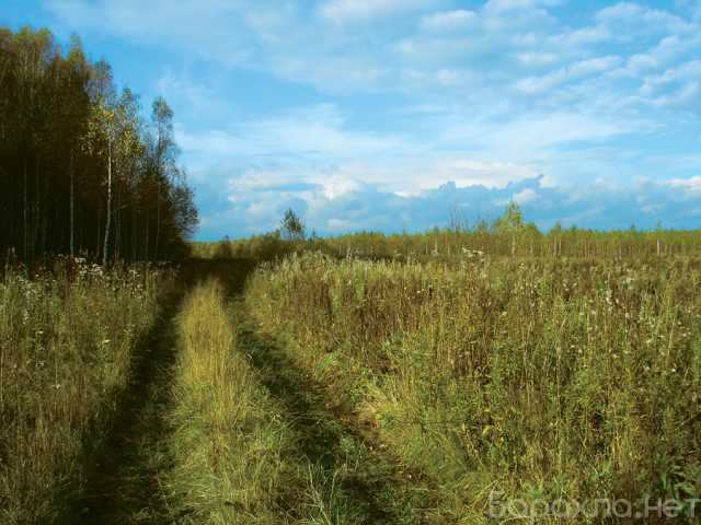 Куплю: земельный участок