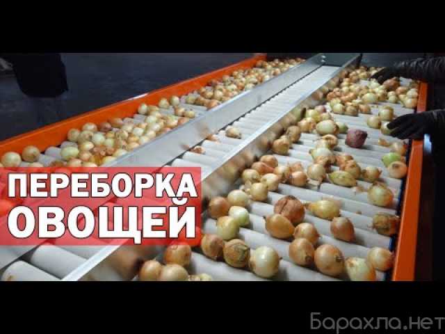 Вакансия: Разнорабочие