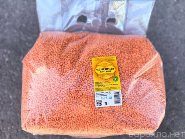Продам: Чечевица