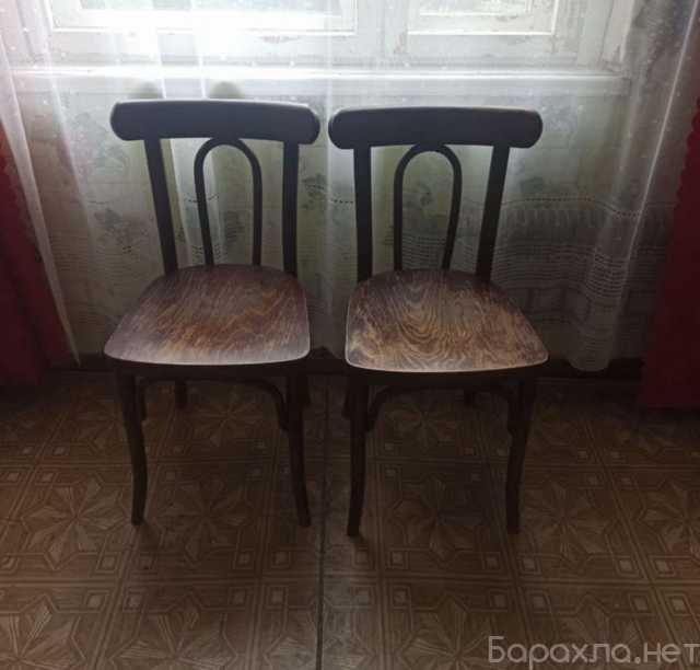 Продам: Стулья венские