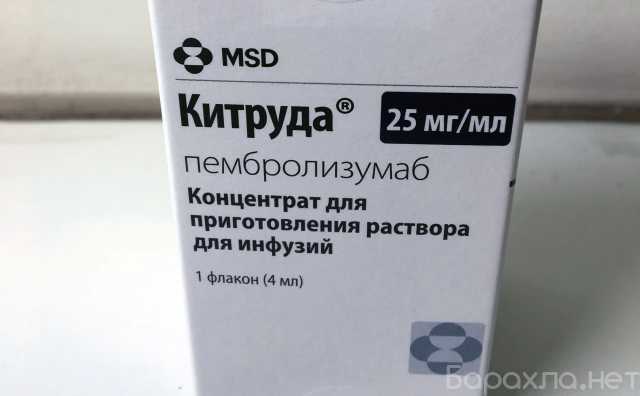 Отдам даром: Китруда