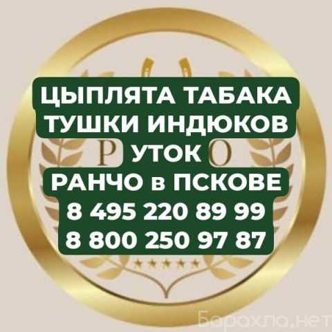 Продам: Цыпленок табака. Индюки,Утки