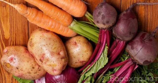 Продам: Овощи для борща оптом