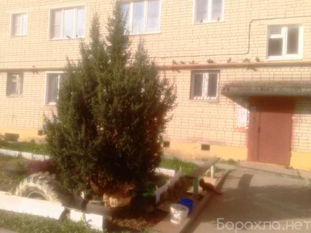 Продам: квартиру