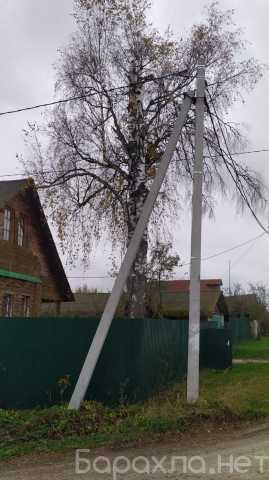 Предложение: Требуется спилить дерево