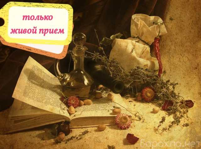 Предложение: Знахарка, целитель