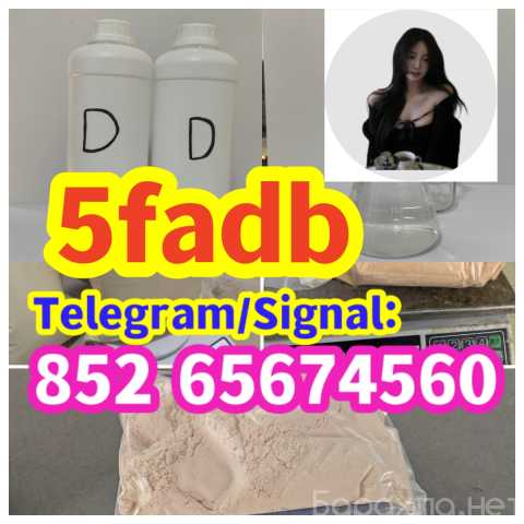 Предложение: 5FADBA, if you need, please contac