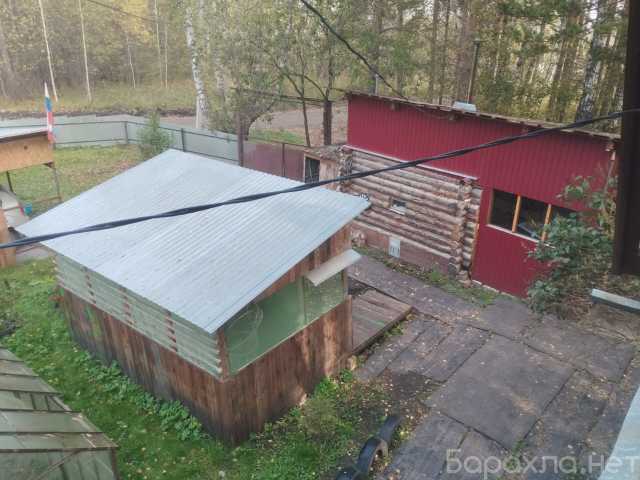 Сдам посуточно: дачу