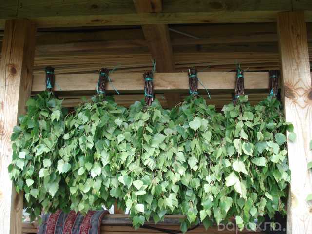 Продам: Веники для бани