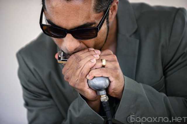 Предложение: Губная гармошка уроки