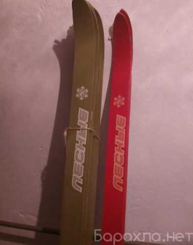 Продам: Лыжи лесные