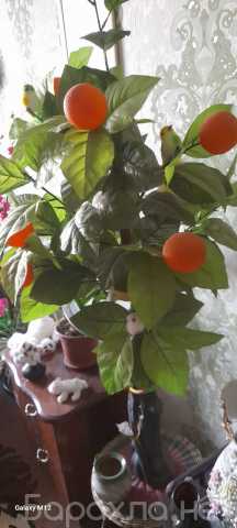 Продам: Дерево - апельсин ( искуств.)