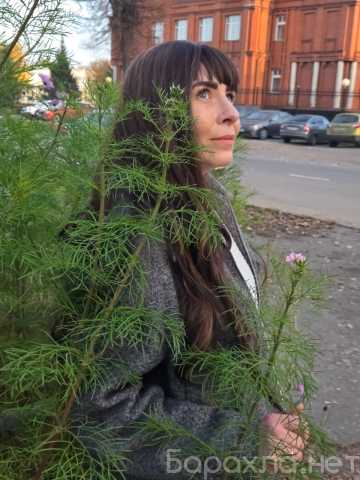 Предложение: Услуги фотографа музыканта и поэта