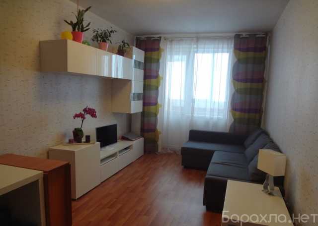 Сдам: квартиру