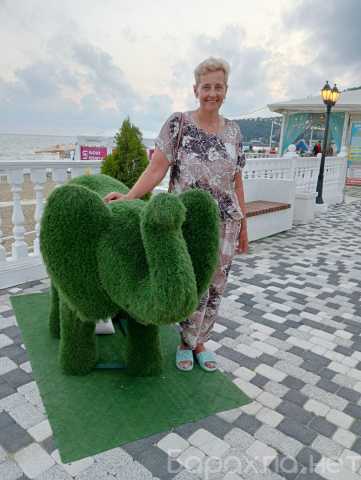 Предложение: Массаж на дому