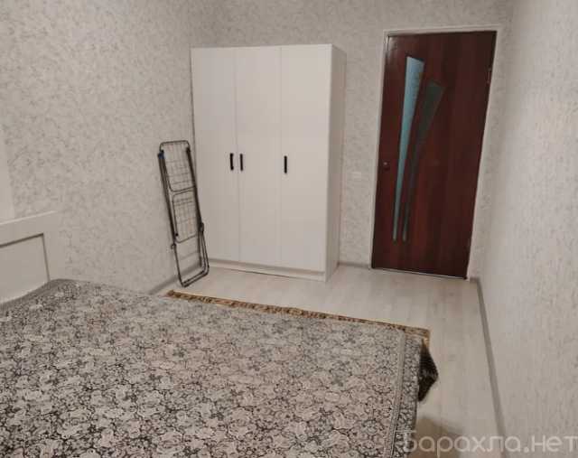 Сдам: квартиру