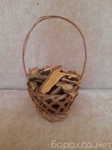 Продам: Горец остроконечный корень