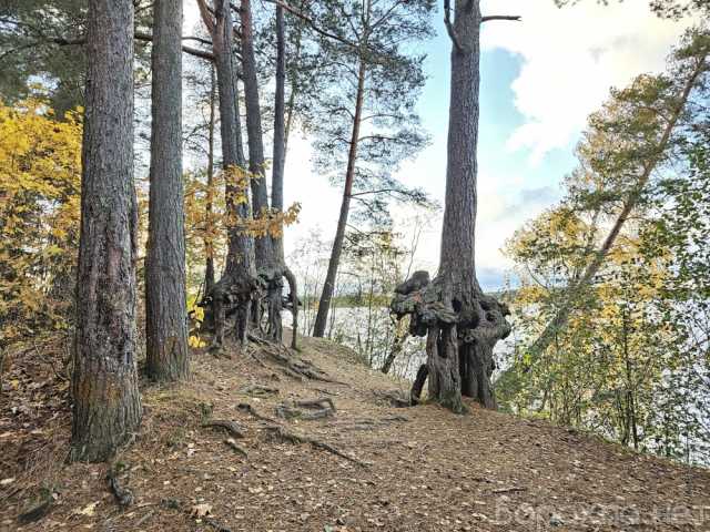 Продам: земельный участок