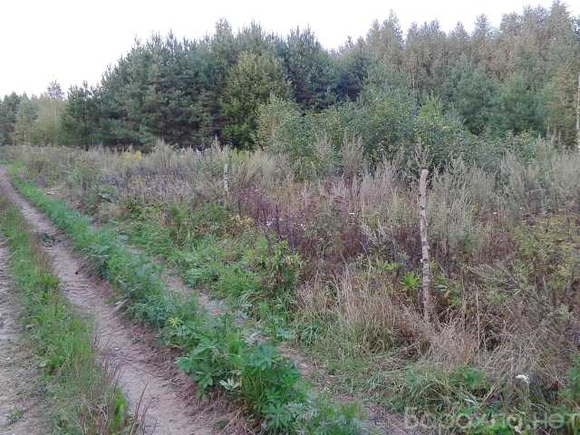 Продам: Участок