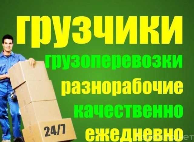 Предложение: Грузоперевозки, грузчики