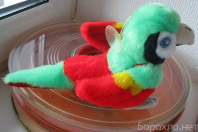 Продам: мягкая игрушка красивый яркий попугай
