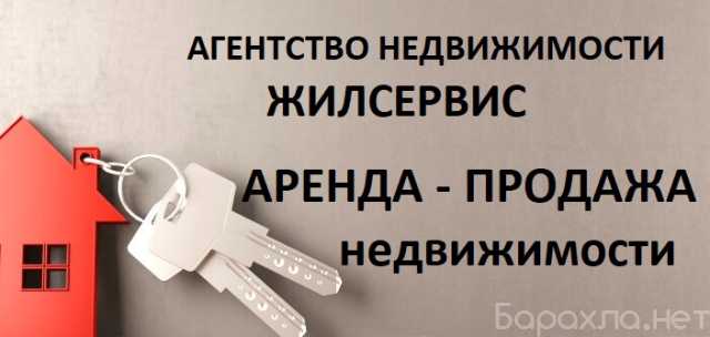 Сниму: квартиру