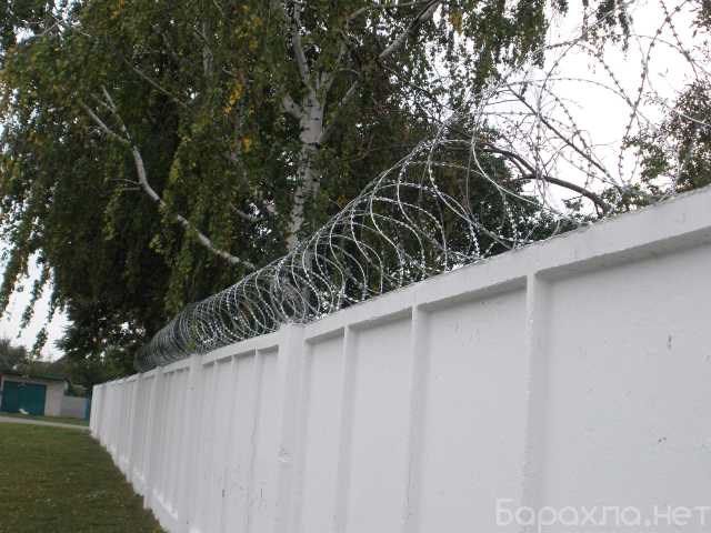 Продам: колючая проволока СББ Егоза 955