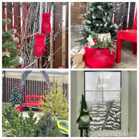 Предложение: Туркомплекс Улей