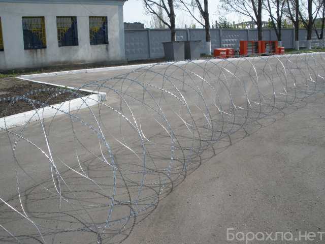Продам: колючая проволока СББ Егоза 955