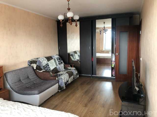 Сдам: квартиру