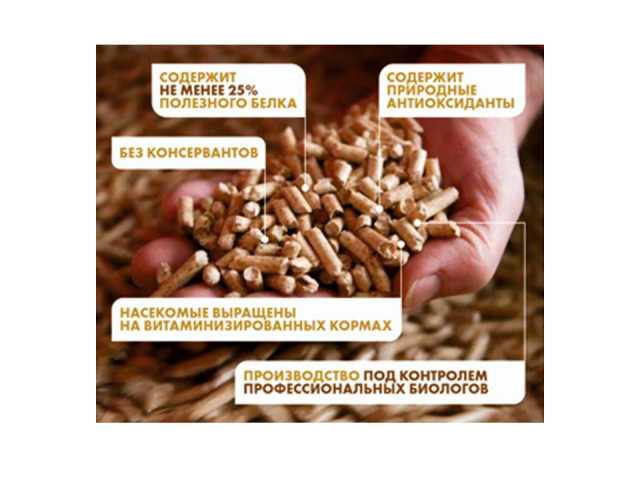 Продам: КОРМОВАЯ ДОБАВКА ИЗ НАСЕКОМЫХ (ЧЁТНАЯ ЛЬ