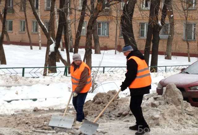 Предложение: Чистка, уборка, погрузка и вывоз снега