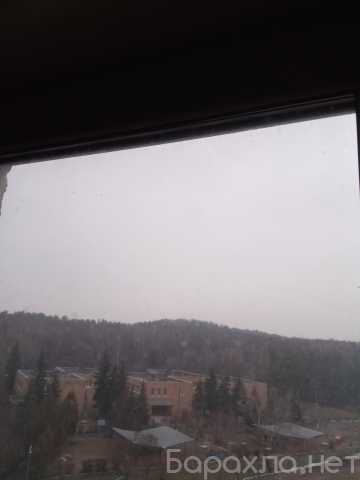 Сдам: квартиру