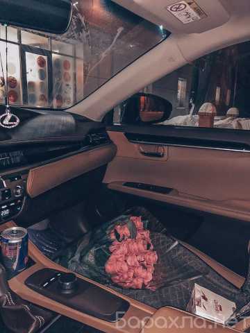 Вакансия: Модель