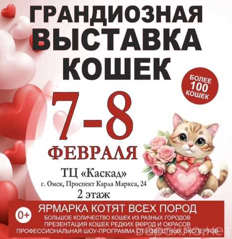 Продам: Выставка кошек 7-8 февраля в Каскаде