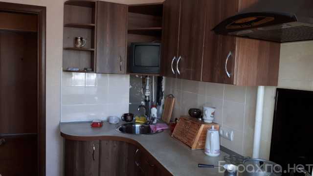 Сдам: квартиру