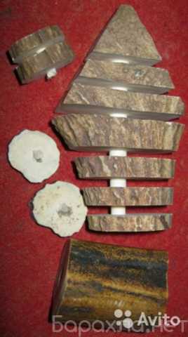 Продам: рог лося часть расточенная поперек сувен