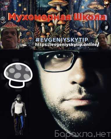 Предложение: Мухоморная Школа