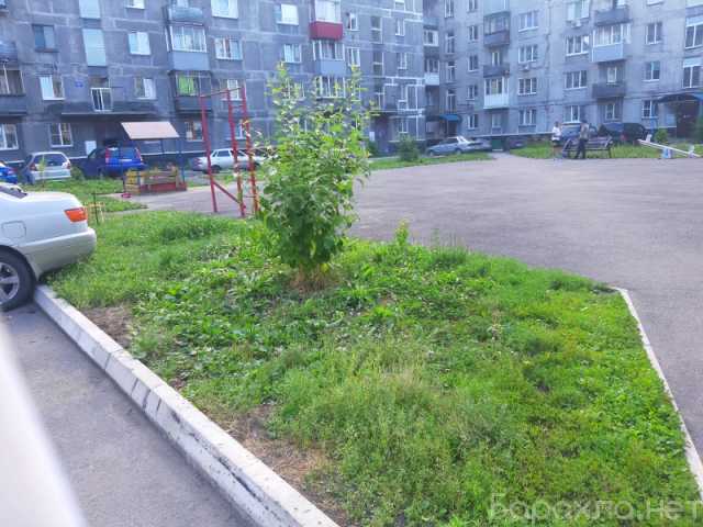 Сдам: квартиру