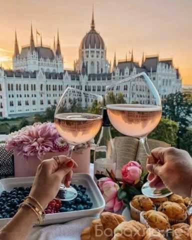 Вакансия: Модель