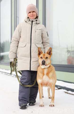 Отдам даром: Обворожительный, брутальный парень