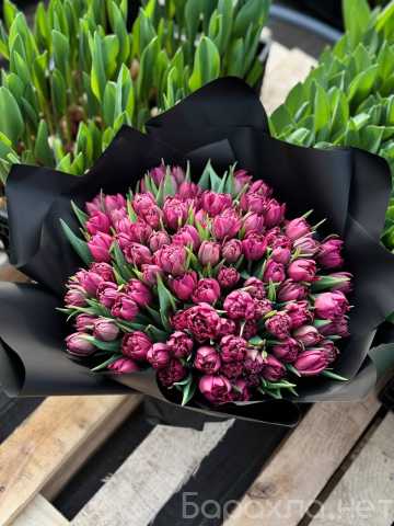 Продам: тюльпаны к 8 марта