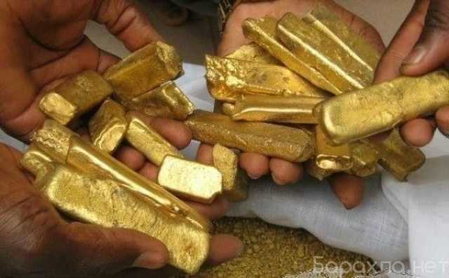 Продам: Gold Available For Sale, We Offer The Be